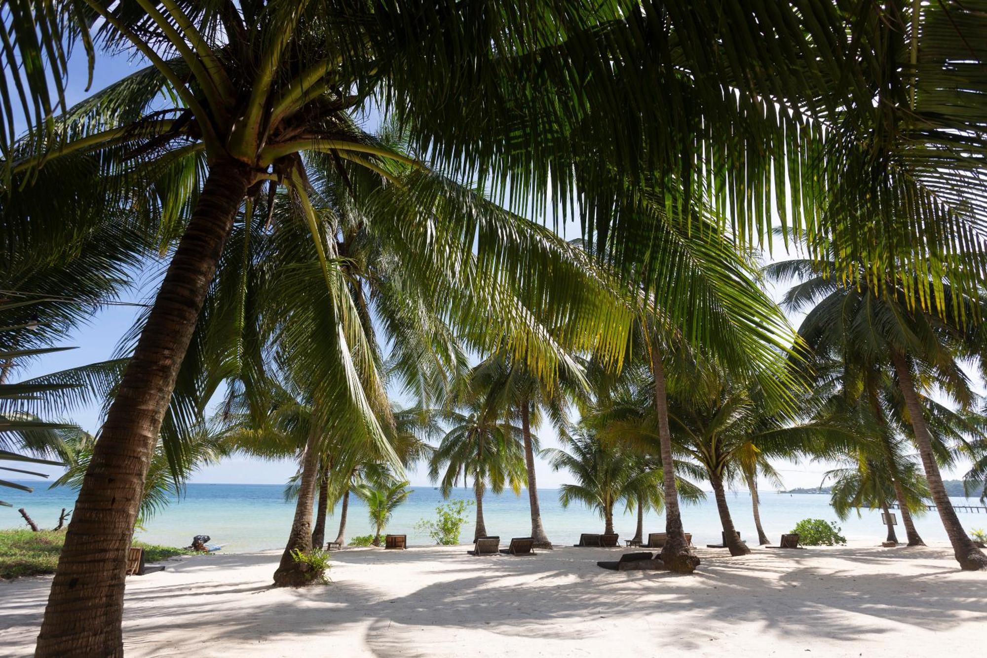 فندق تامو كوه رونج Pagoda Beach المظهر الخارجي الصورة